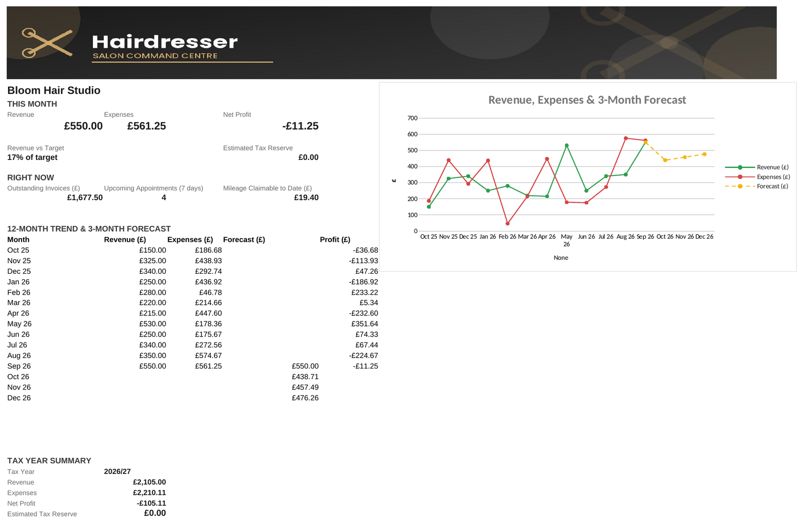 Hairdresser Salon Command Centre — All-in-One Booking, Invoicing & Accounts Spreadsheet - Image 7